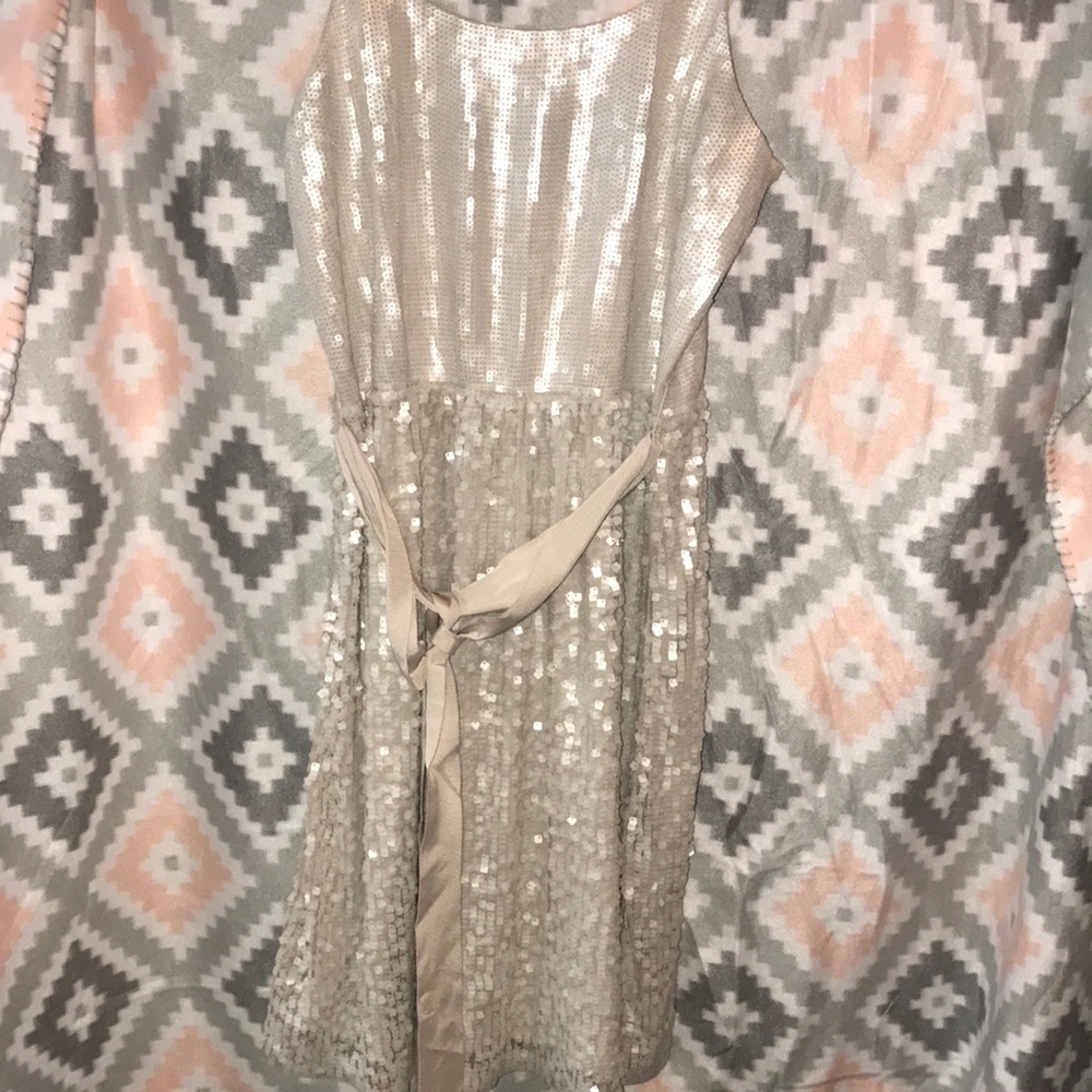 Express dress size m